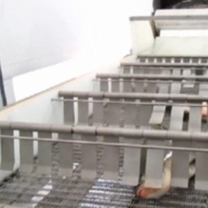 Insensibilizador Elétrico de Pescados