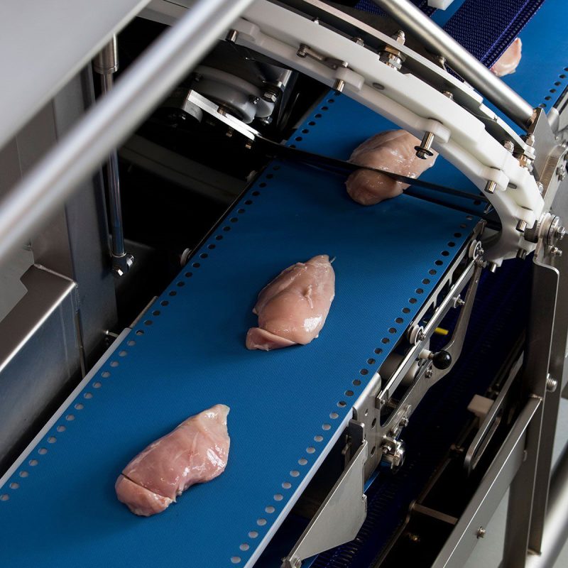 portion-cutting-broiler.jpg